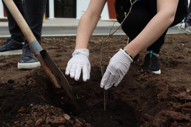    На территории ФОК «Озерки» появятся «Сады Памяти»