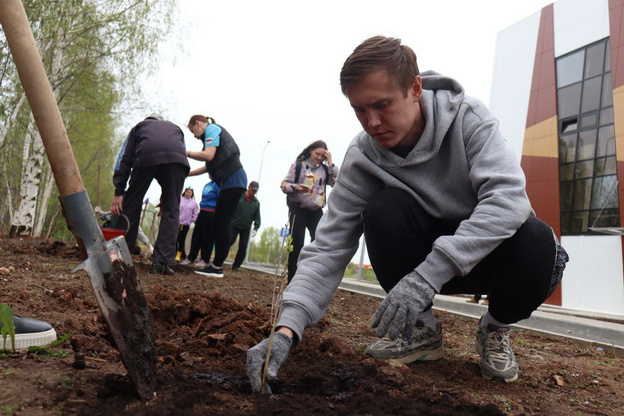    На территории ФОК «Озерки» появятся «Сады Памяти»