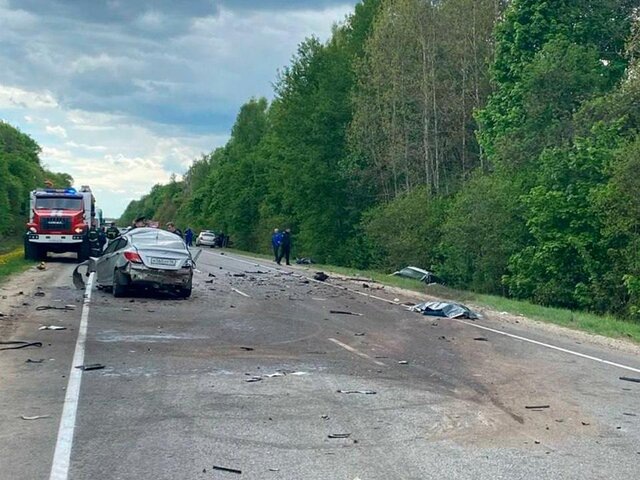    Фото: телеграм-канал "Александр Хинштейн"