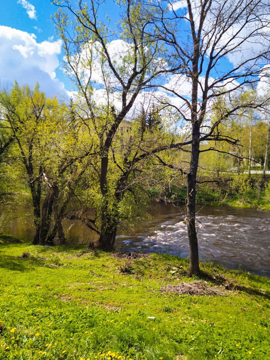 Река Шелонь