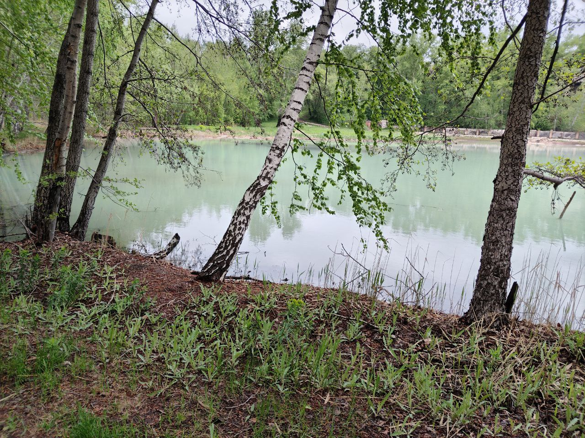 Фото автора.