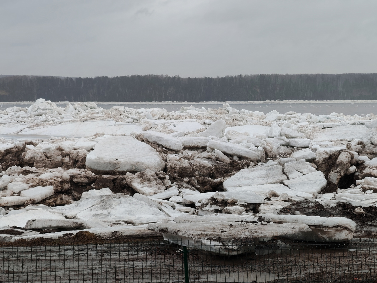 Фото автора.