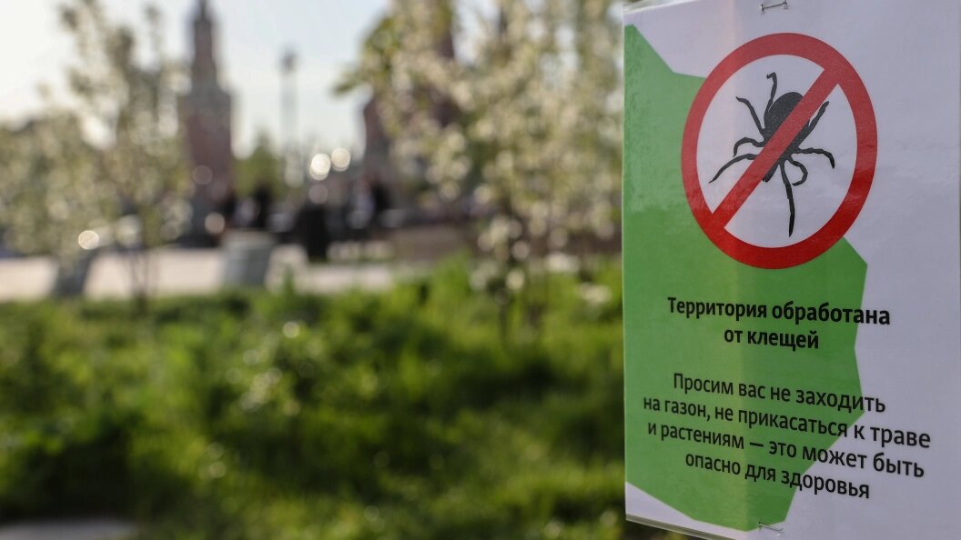    Фото: Bulkin Sergey/news.ru/Globallookpress