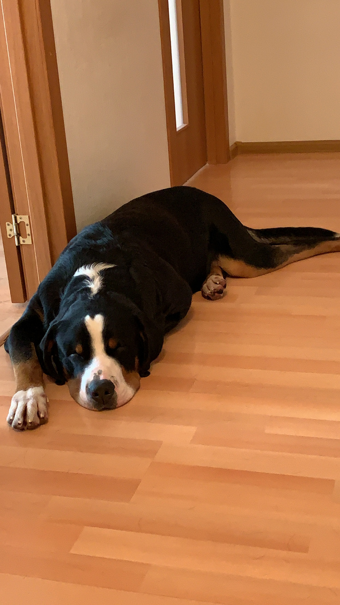 Ну как такого можно оставить надолго 😅