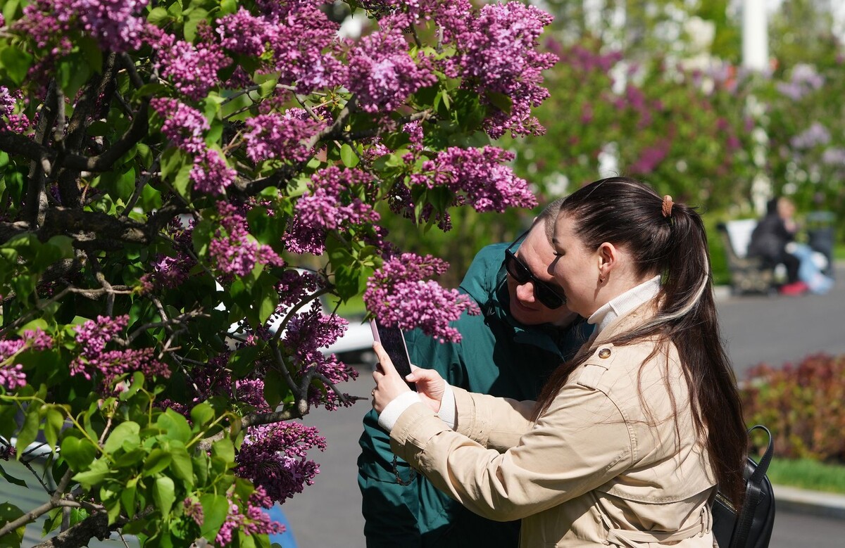     / Источник: © ИЗВЕСТИЯ/Дмитрий Коротаев