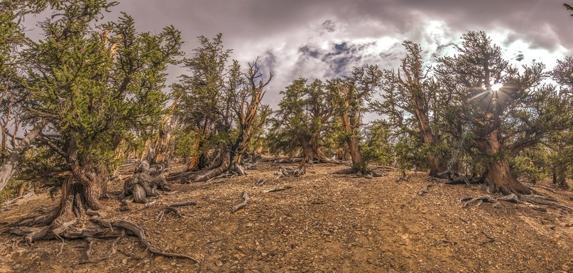 Фото: Wayne Hsieh / Flickr.com