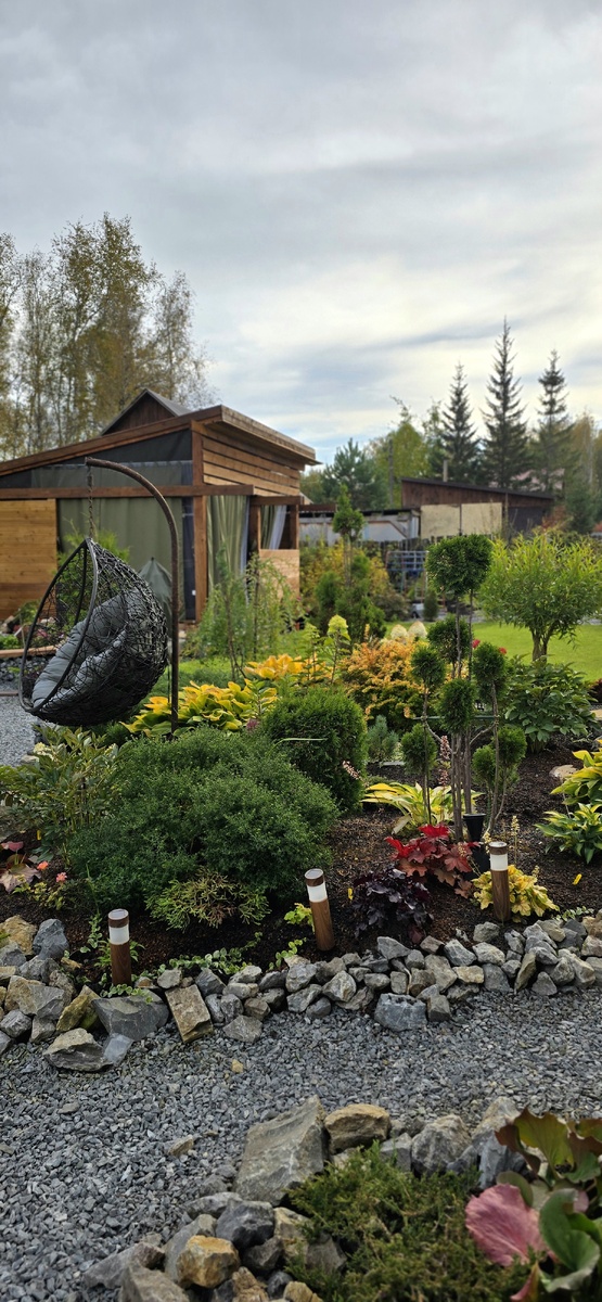 Сентябрь 2024 - мой сад