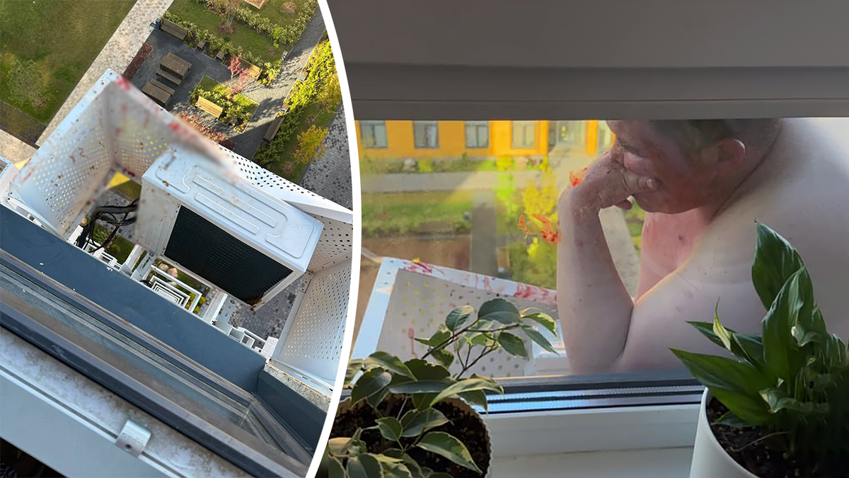 Фото: соцсети