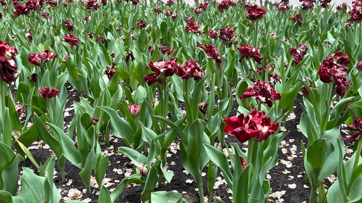     Источник: bel.ru