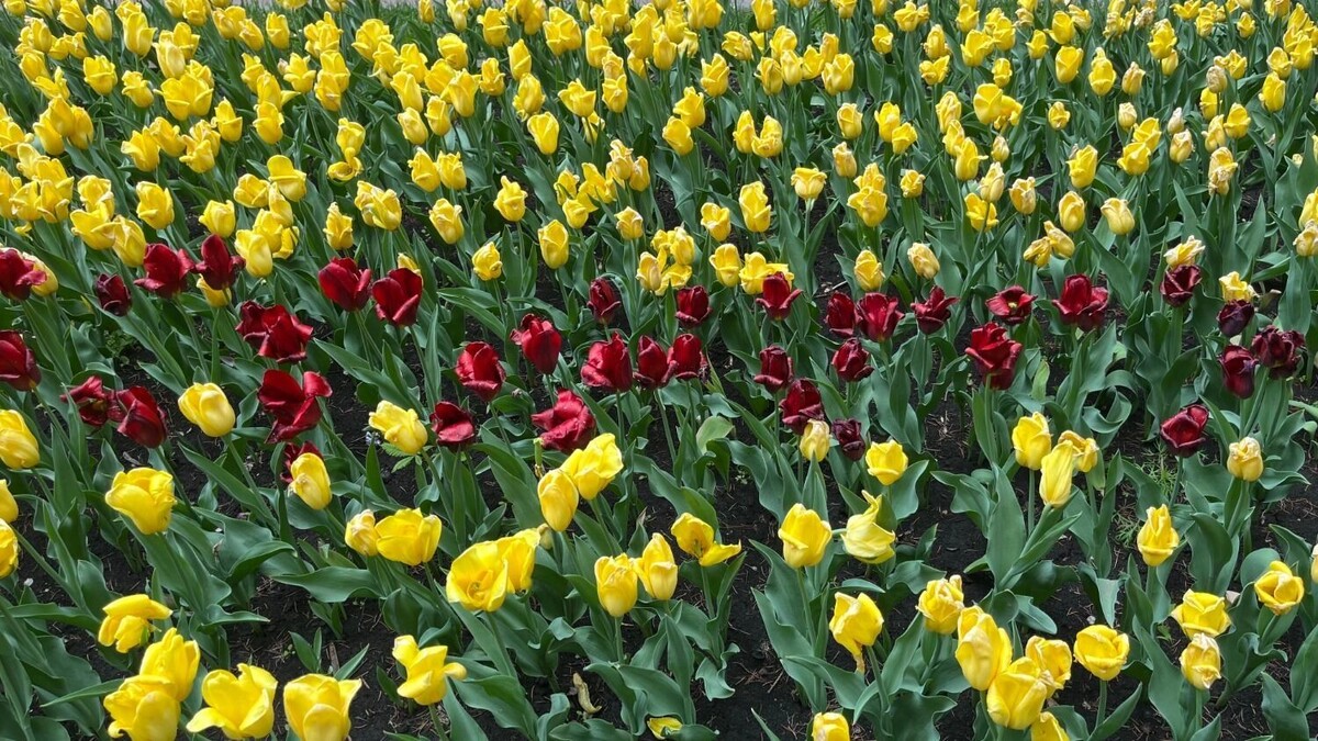     Источник: bel.ru