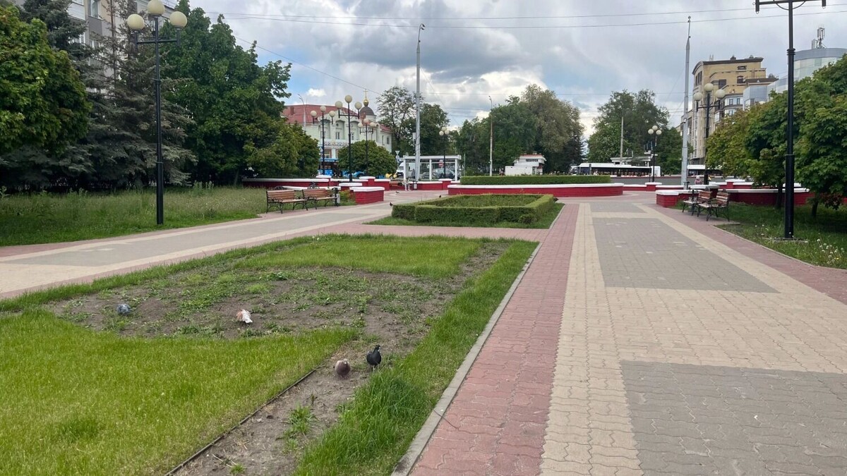     Источник: bel.ru