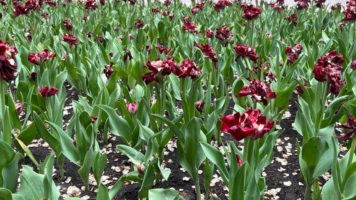     Источник: bel.ru