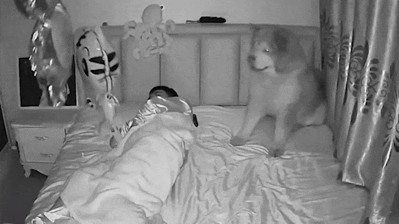 Нравится Формат? Поддержи Канал Лайком и напиши какой эпизод понравился больше всех
