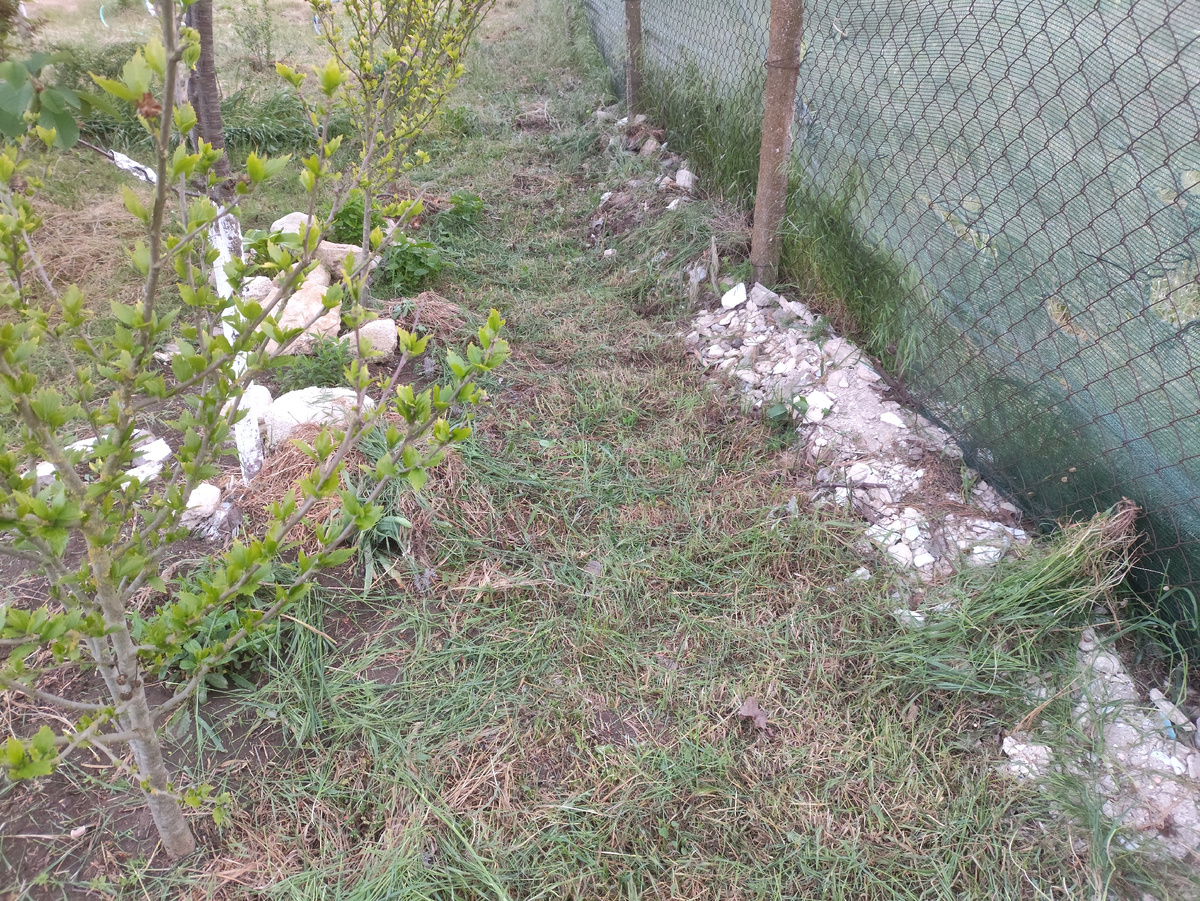 Вдоль забора заросли скосила