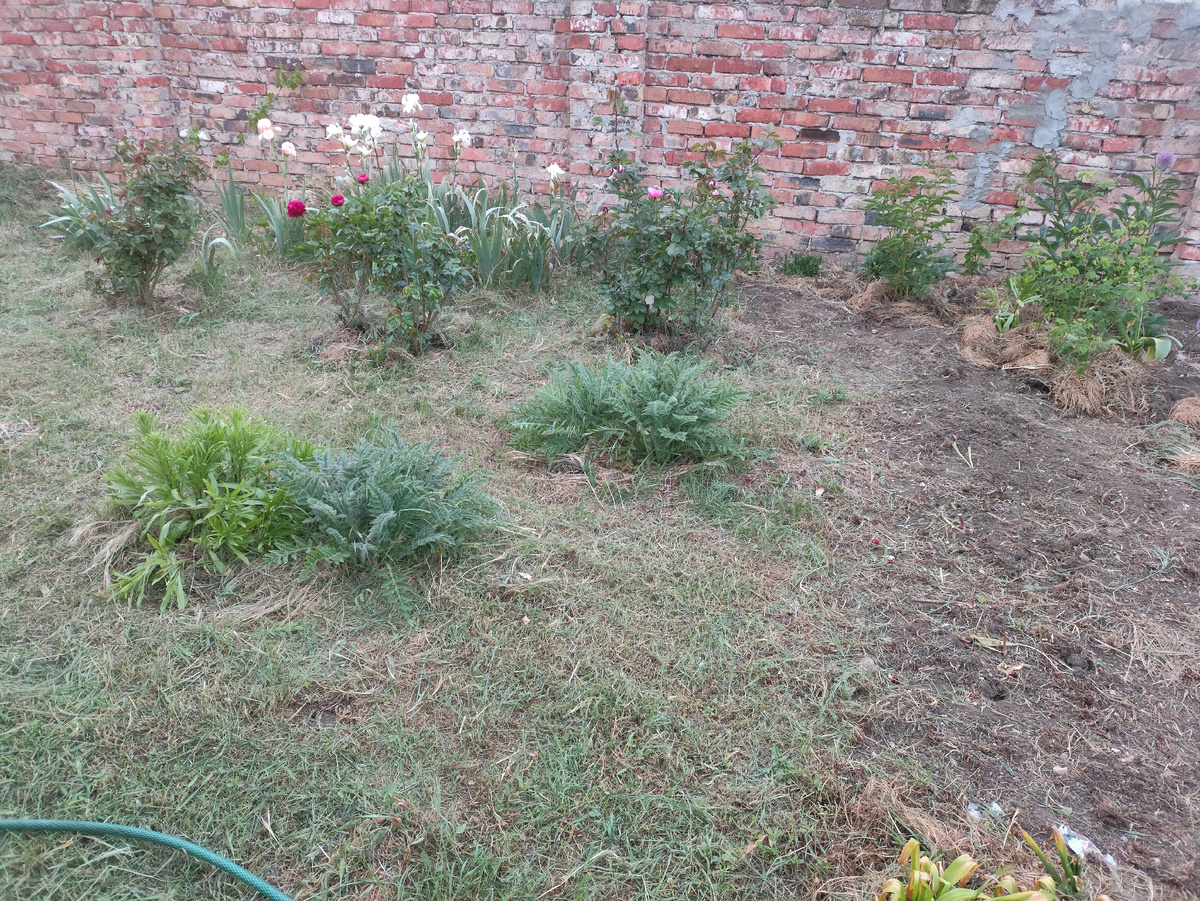 Прибралась между цветами