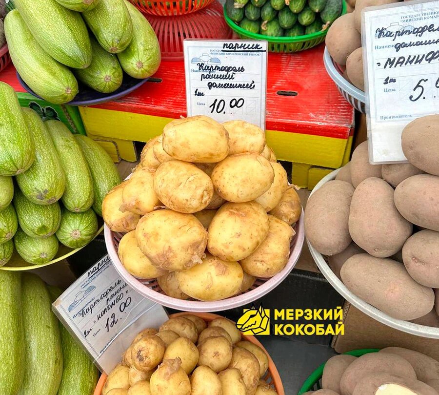    Фото: Мерзкий Кокобай / Telegram