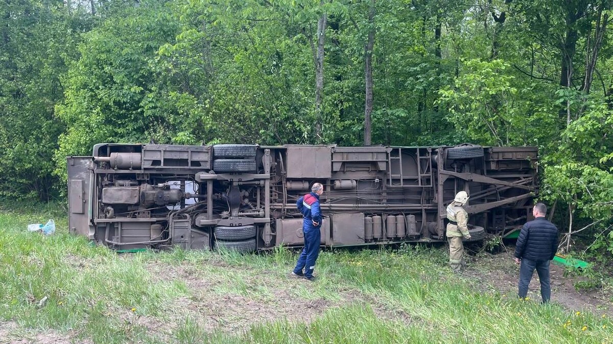    Фото: t.me/Hinshtein