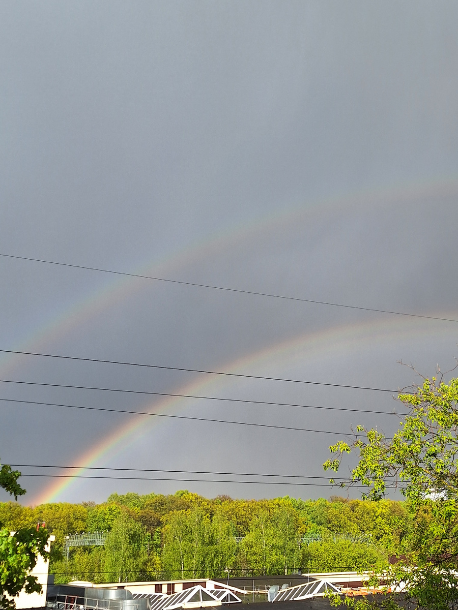 Фото - собственность автора канала.