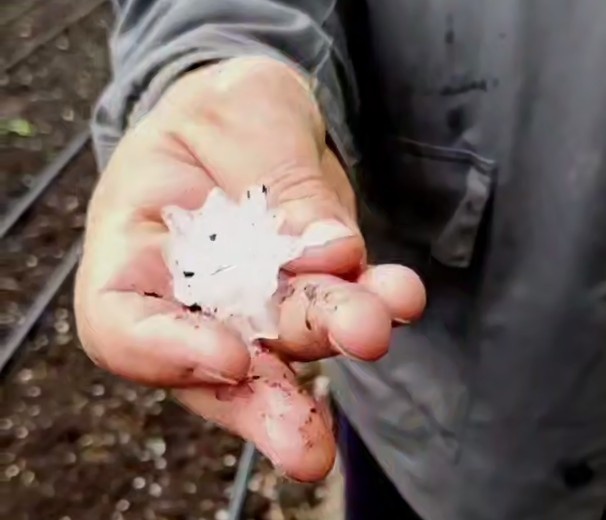    Град уже под Оренбургом. Городище бьёт с неба «перепелиными яйцами» Белов Михаил Александрович