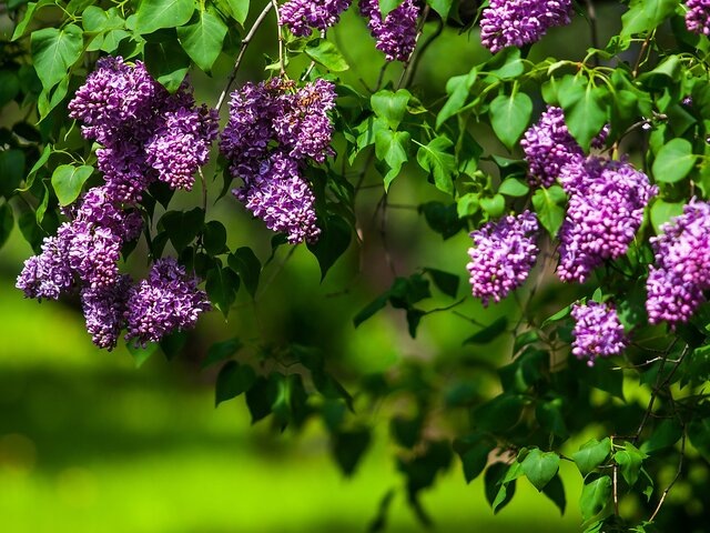    Фото: Агентство "Москва"/Лидия Широнина