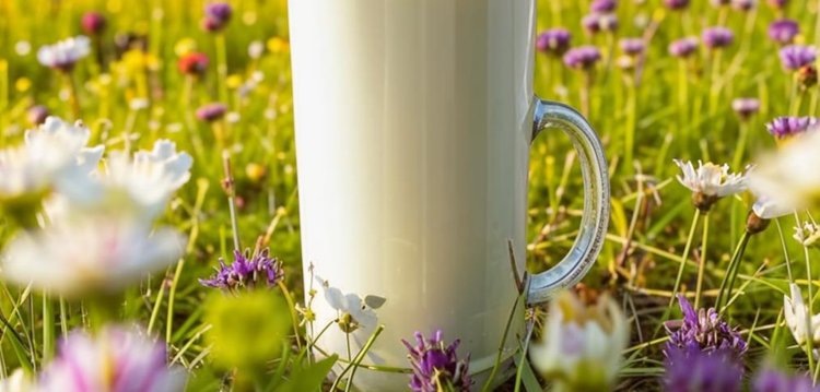    О молочных и мясных планах российского животноводства рассказал Дмитрий Патрушев