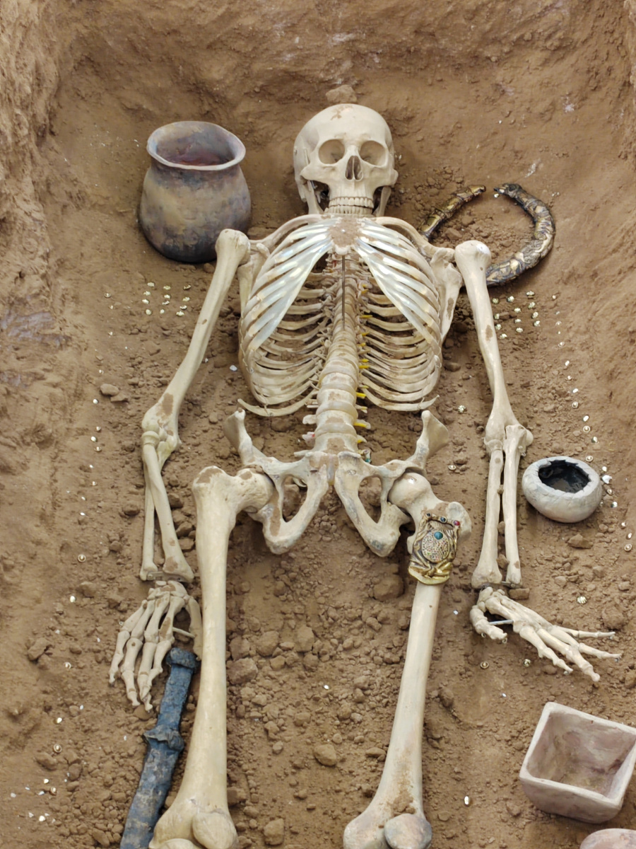 Музейно-выставочный комплекс «Цейхгауз». Выставка «Археология. Экспедиция. Музей». Астрахань, 2025 г.