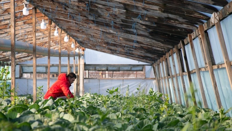      Фото: Валерия Алтухова / / ИА «Победа26»