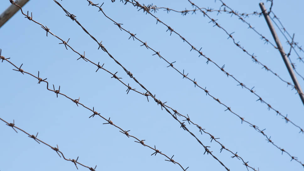 Фото: Олег Харсеев / Коммерсантъ