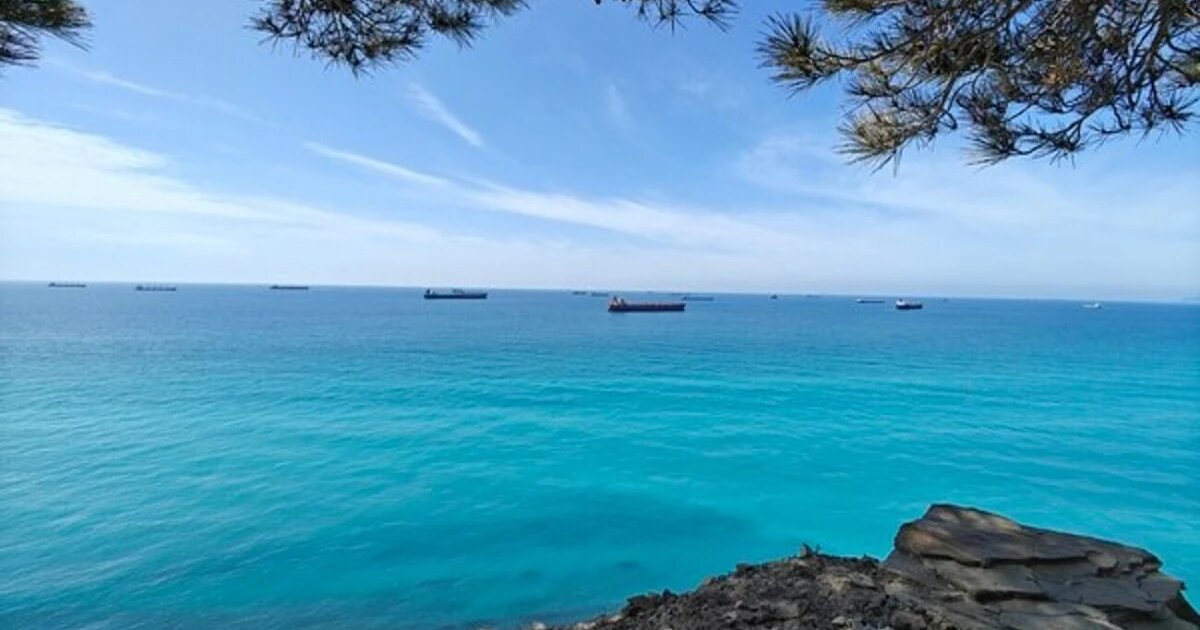 Фото: Юрий Серебренников «BFM Кубань»