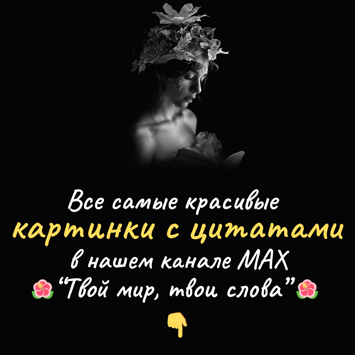 Картинки с цитатами в MAX