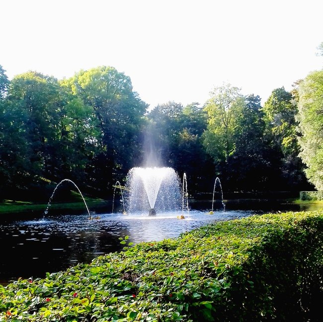 Фонтан "Китовый" /фото из личного архива, 2017/