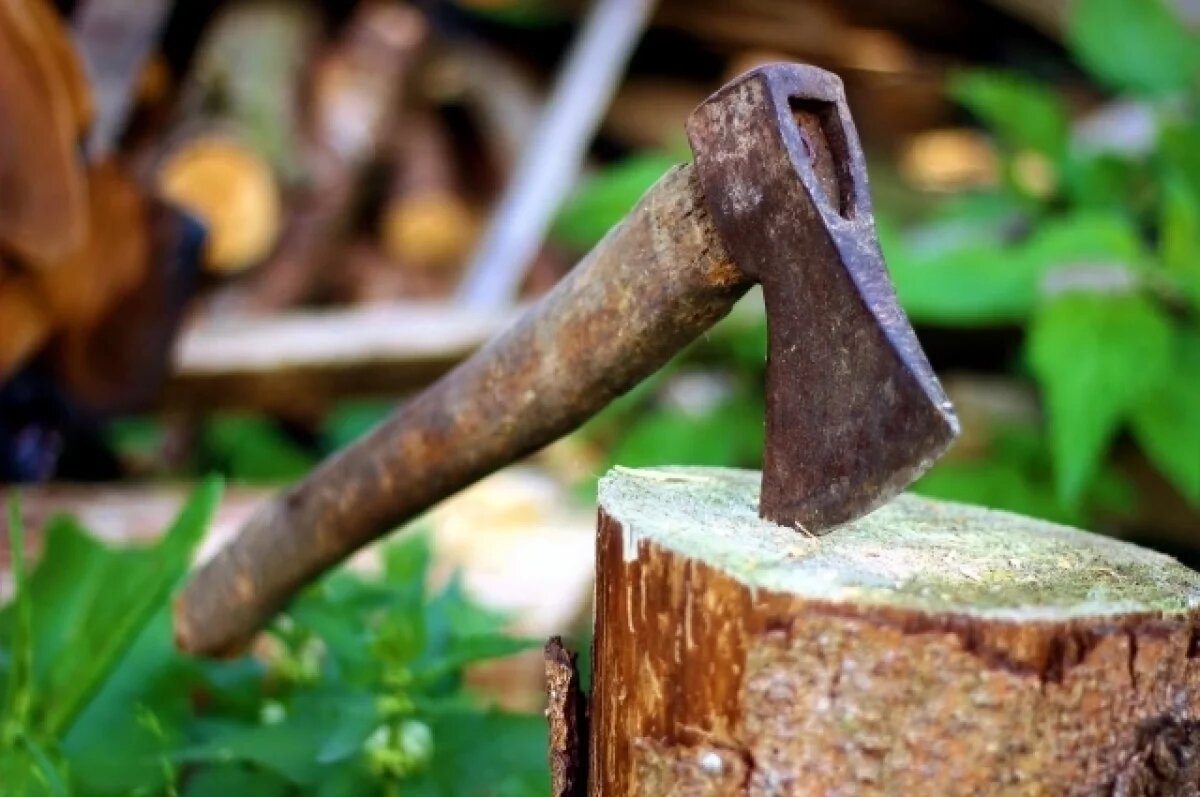    Воронежец напал на односельчанина с топором и ударил его по лицу