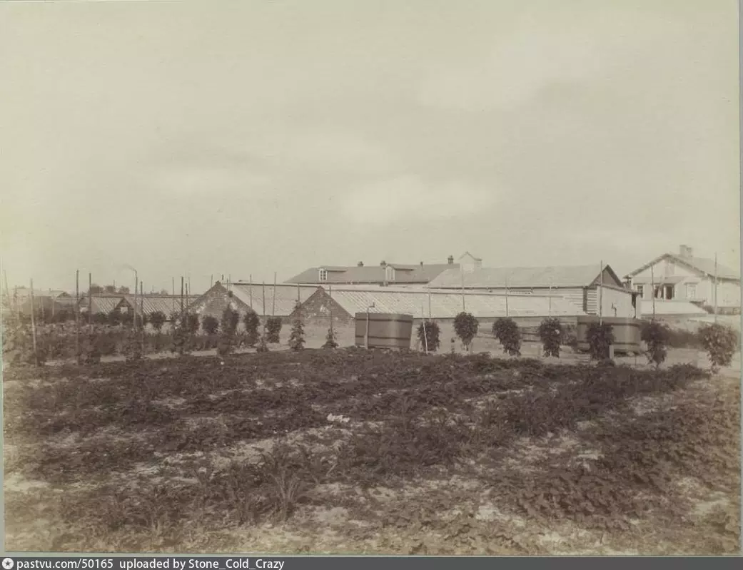 Ещё один снимок садоводства, 1910. С сайта www.pastvu.com.