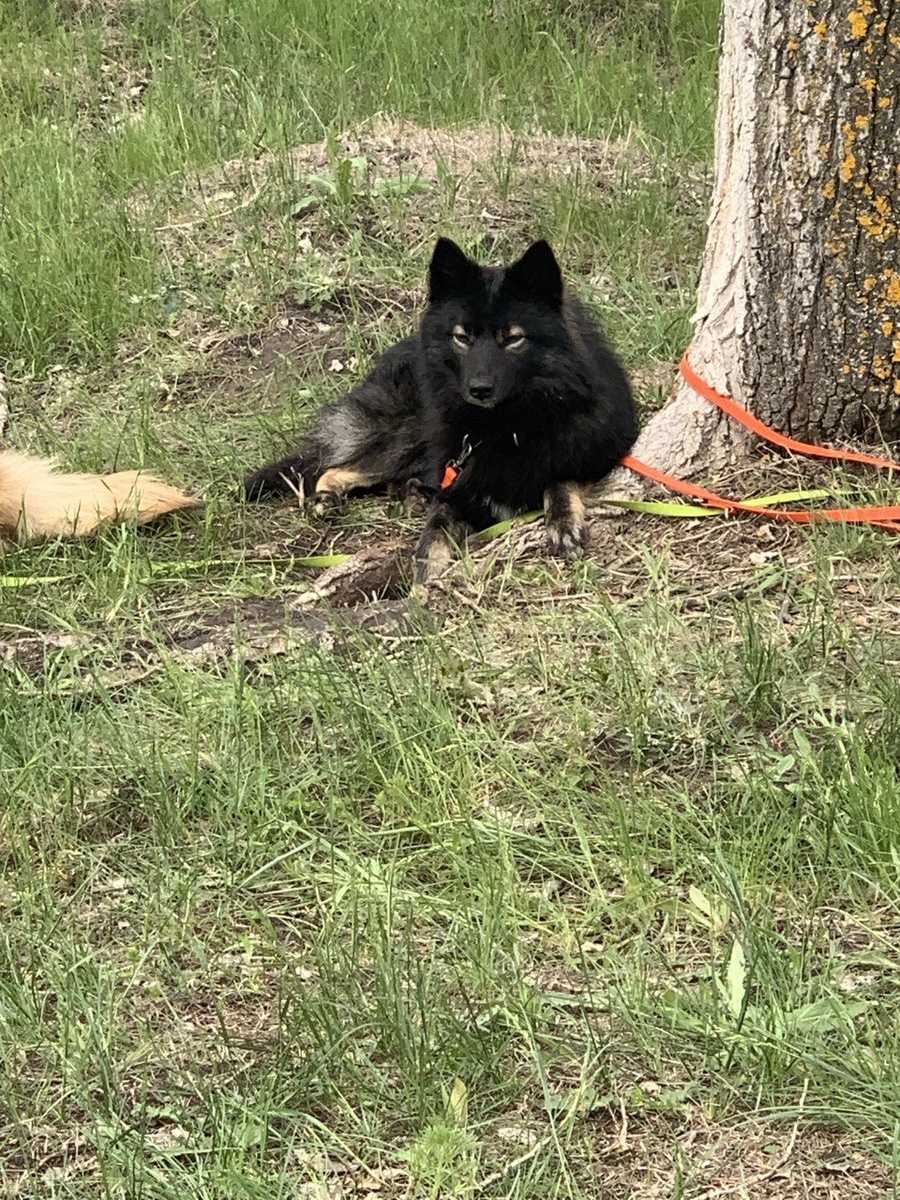 У же не Яшка, а Яков Семеныч!