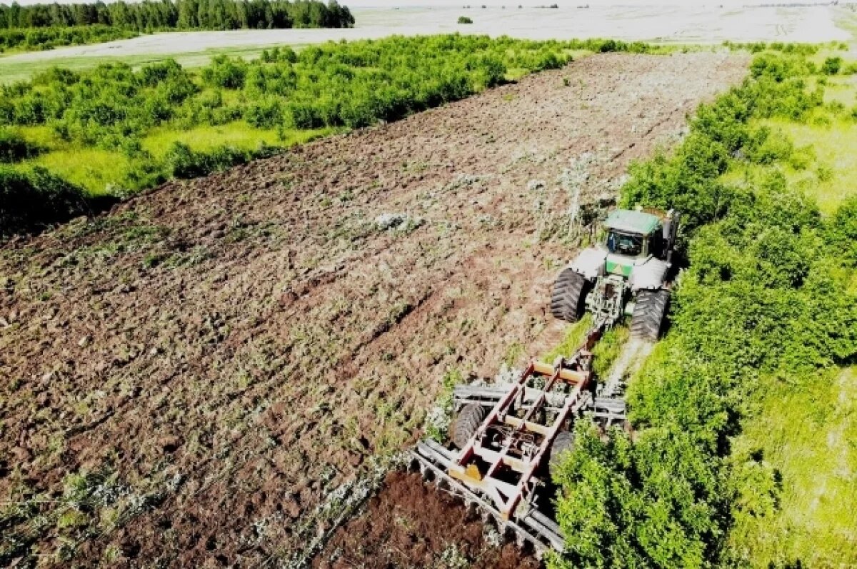    12,8 тысяч га неиспользуемых земель введут в оборот на Брянщине в 2025 году