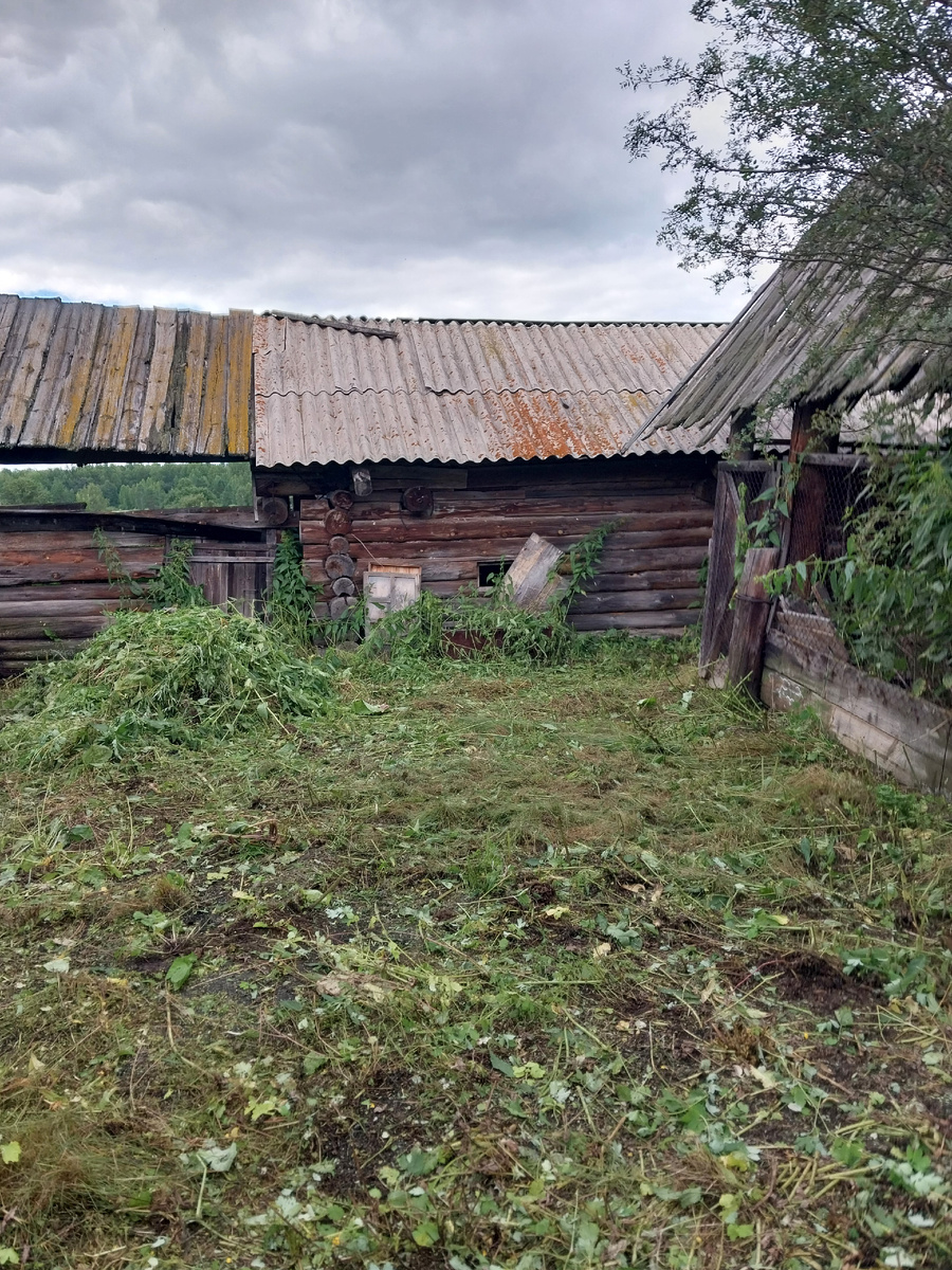 В этой конюшне жили овцы, свиньи и корова