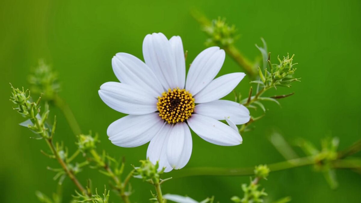 Как избавиться от стресса