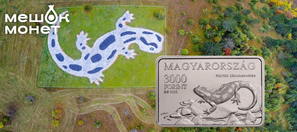    Обложка статьи