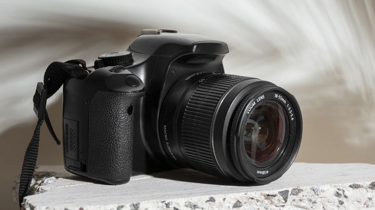     Фото: ru.freepik.co