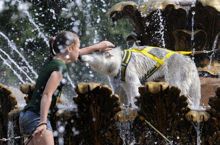    Пять фонтанов будут работать в Оренбурге этим летом Оренбуржье