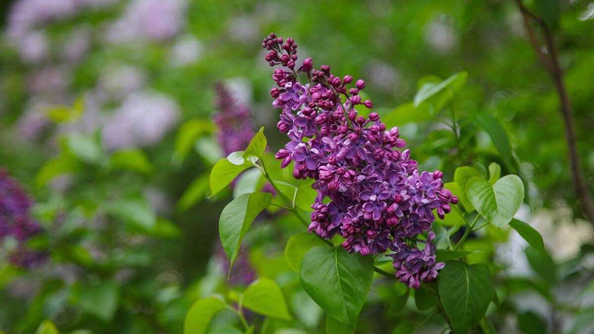    Фото: Артур Новосильцев / АГН Москва