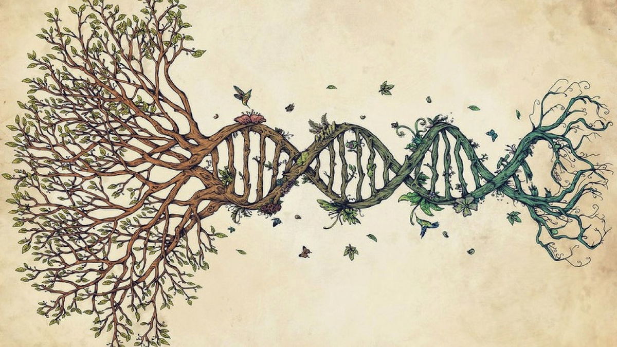 Источник: revista-elfaro.blogspot.com