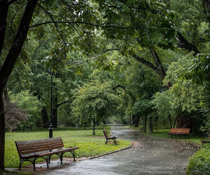 Фото взято с сайта sunnyflower.ru