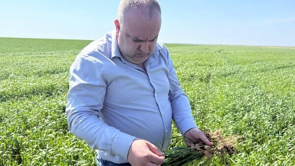    © Денис Кратюк