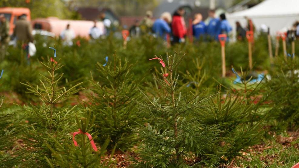    Фото: пресс-служба Правительства Ленинградской области