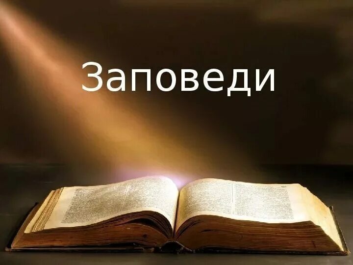 Изображение с сайта с открытым доступом.