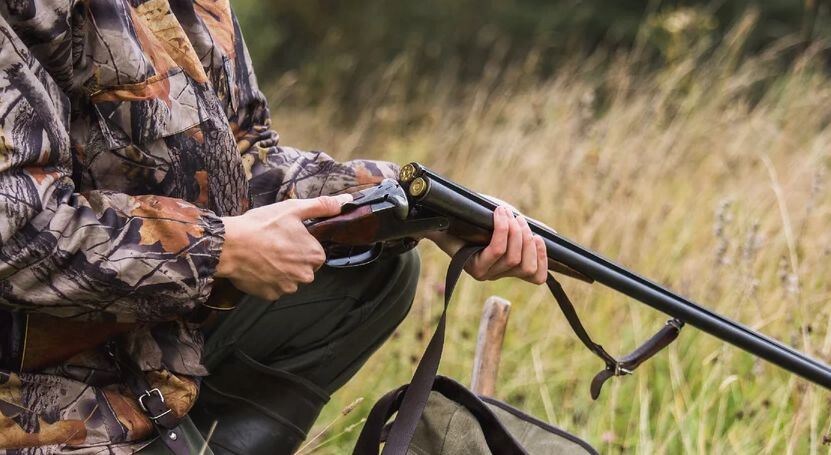    В Югре увеличивают квоты на добычу лесных животных