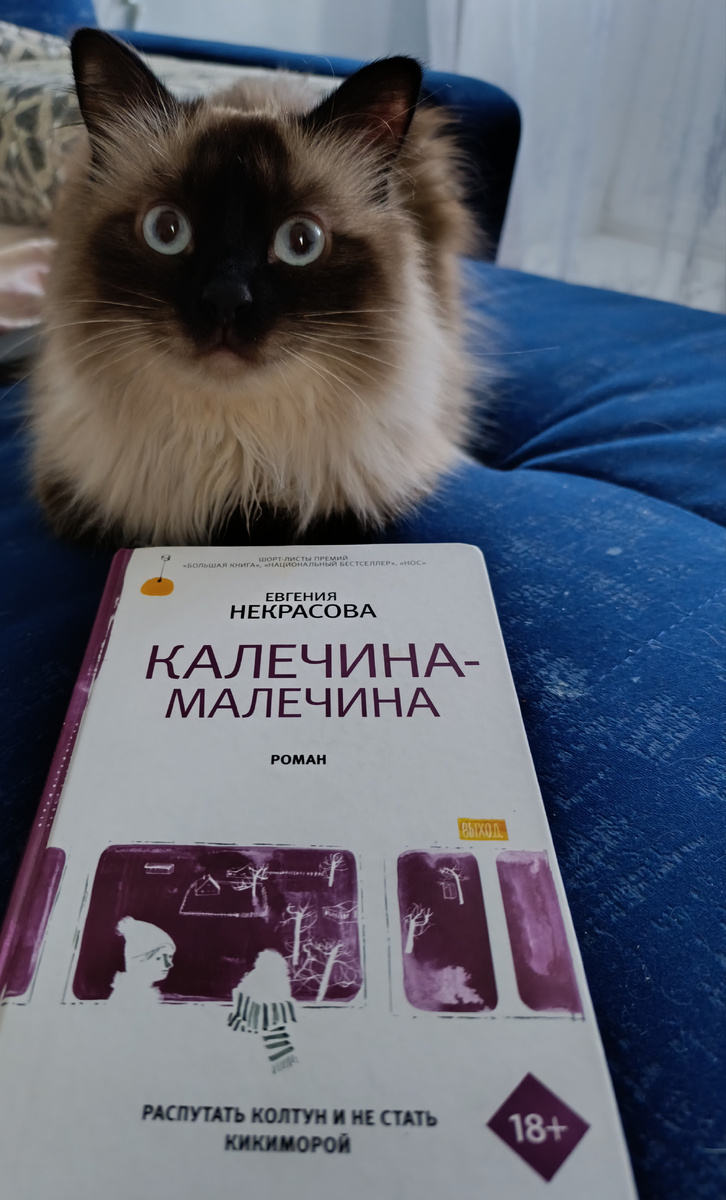 Читаемую книгу из домашней библиотеки представляет Джессика. 