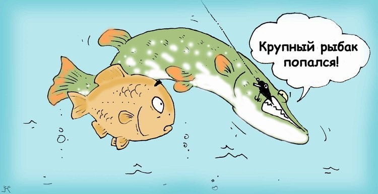 Почему рыба срывается с крючка