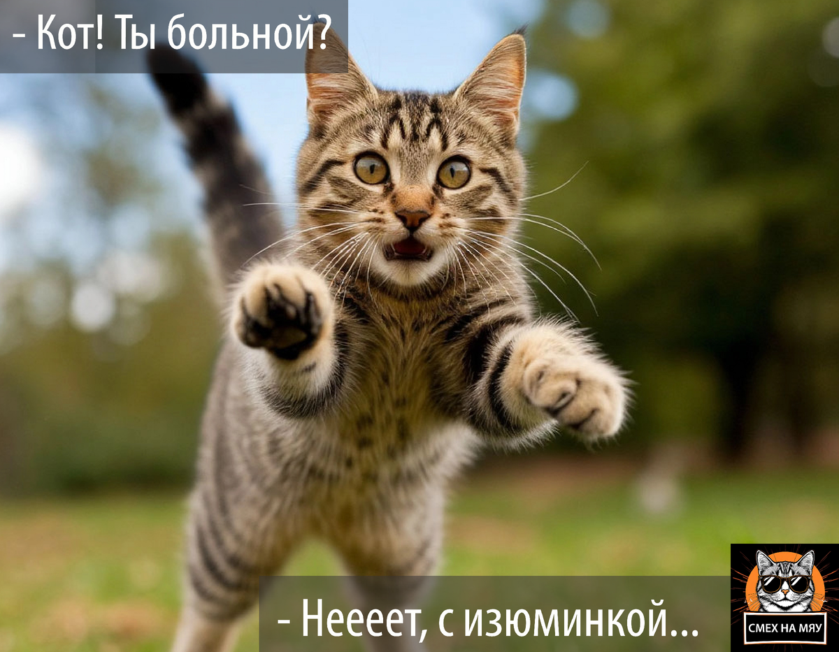 Все коты имеют разные характеры и игривость. Темперамент кота сильно зависит от породы. Так же важно и воспитание. Относитесь к котику по-доброму, что бы тот не отчудил. 